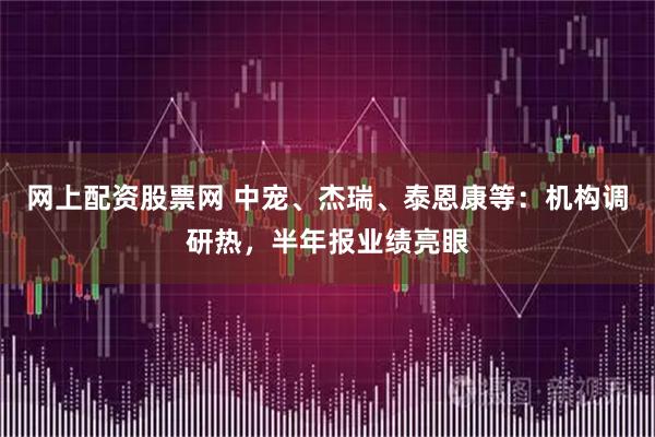 网上配资股票网 中宠、杰瑞、泰恩康等：机构调研热，半年报业绩亮眼